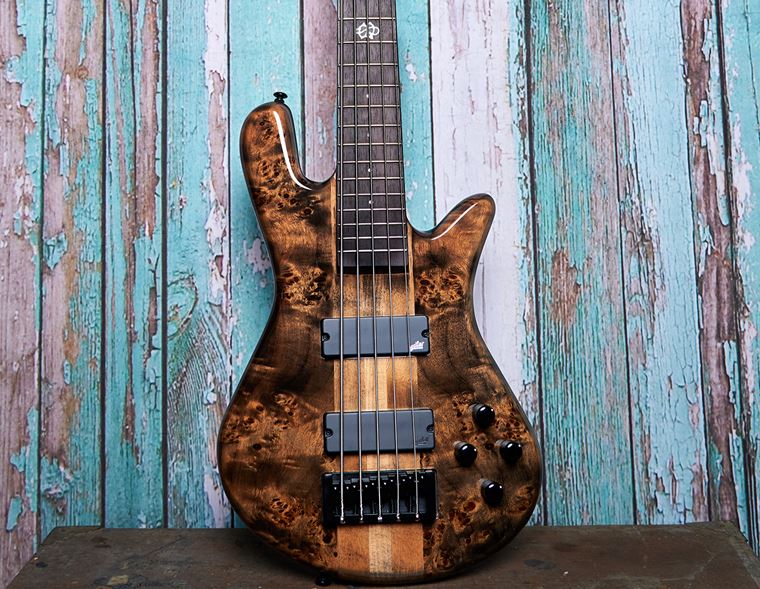 FREE Lessons with Spector NS Basses!